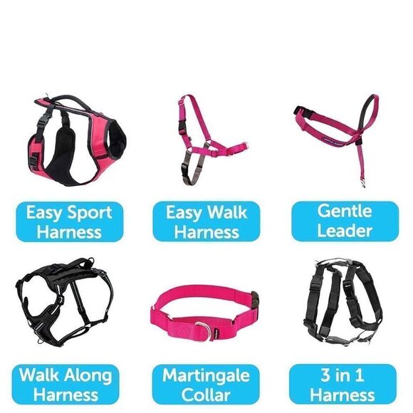 PetSafe Medium Leash, 3/4" × 4', Raspberry Pink NWT - Picture 5 of 6